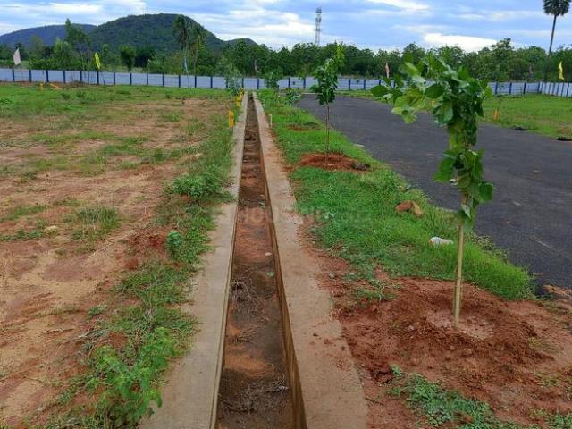 Residential Plot in Gandigundam for resale Visakhapatnam. The reference number is 21017691