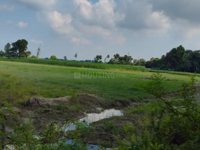 Residential Plot in Ganja for resale Ayodhya. The reference number is 20936712