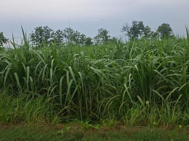 Residential Plot in Garh Mukteshwar for resale Hapur. The reference number is 20746921
