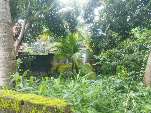 Residential Plot in Garia, Sonarpur for resale Kolkata. The reference number is 17099764