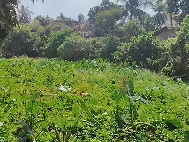 Residential Plot in Garia, Sonarpur for resale Kolkata. The reference number is 18647696