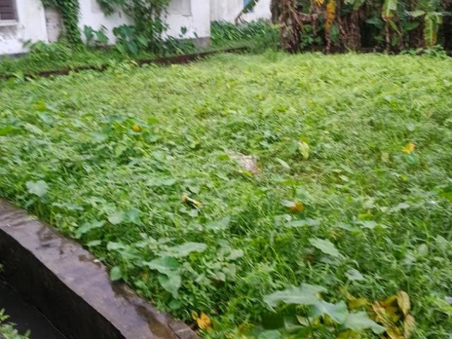 Residential Plot in Garia, Sonarpur for resale Kolkata. The reference number is 20931417