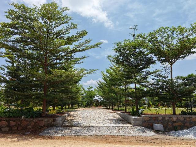 Residential Plot in Gauribidanur for resale Chikballapur District. The reference number is 20710603