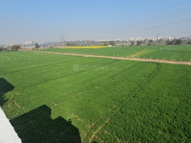 Residential Plot in Gazipur for resale Zirakpur. The reference number is 16376786