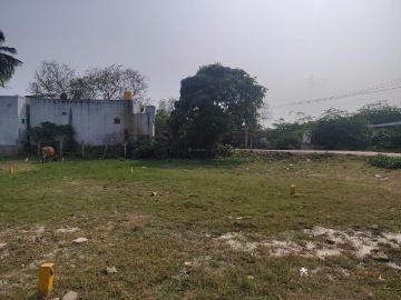 Vintage N Kolapakkam, Kanchipuram, Kancheepuram District, Tamil Nadu