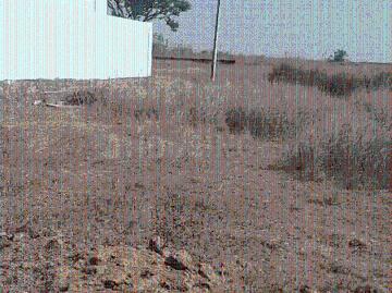 Residential Plot in Getlatu for resale Ranchi. The reference number is 20551065