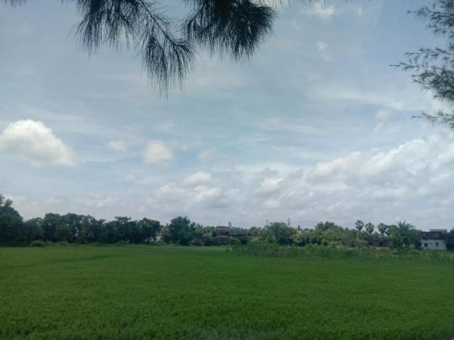 Residential Plot in Ghasiara for resale Kolkata. The reference number is 20699367