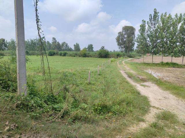 Residential Plot in Ghodi Bachheda for resale Greater Noida. The reference number is 15115452