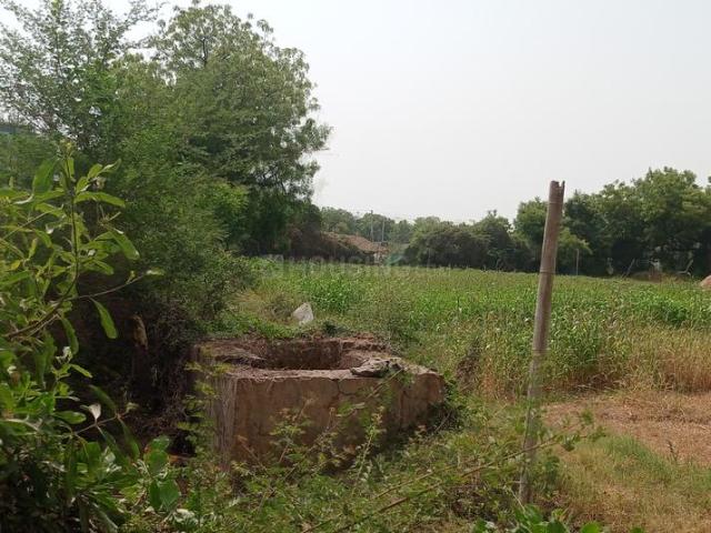 Residential Plot in Ghuma for resale Ahmedabad. The reference number is 20159195