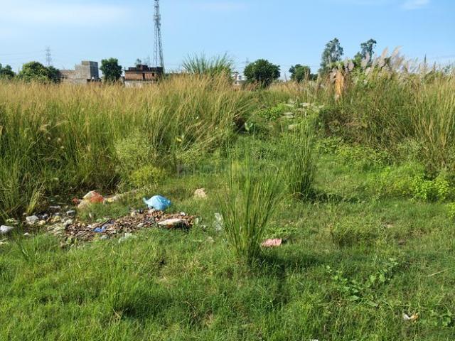 Residential Plot in Ghurpur for resale Allahabad. The reference number is 21215456
