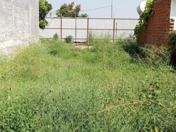 Land for sale in Punjab