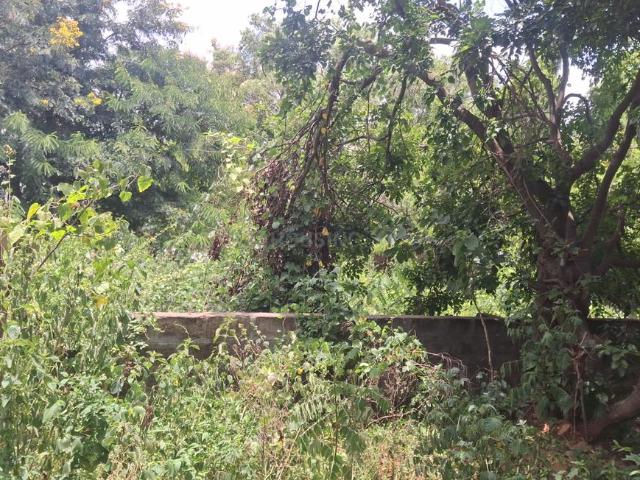 Residential Plot in Gnana Bharathi for resale Bengaluru. The reference number is 20947938