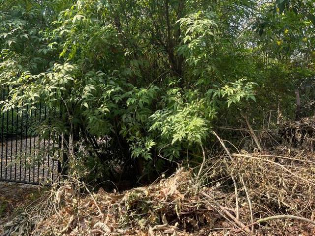 Residential Plot in Gokuldham for resale Ahmedabad. The reference number is 17926896