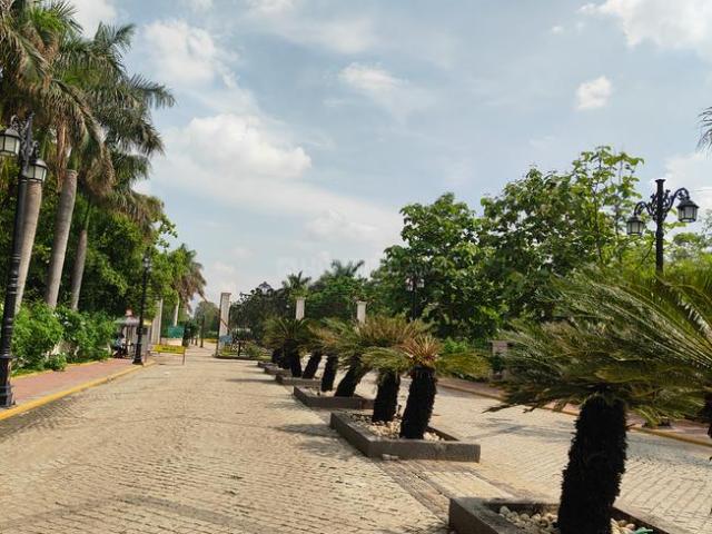 Residential Plot in Golf Link Colony for resale Indore. The reference number is 20636243