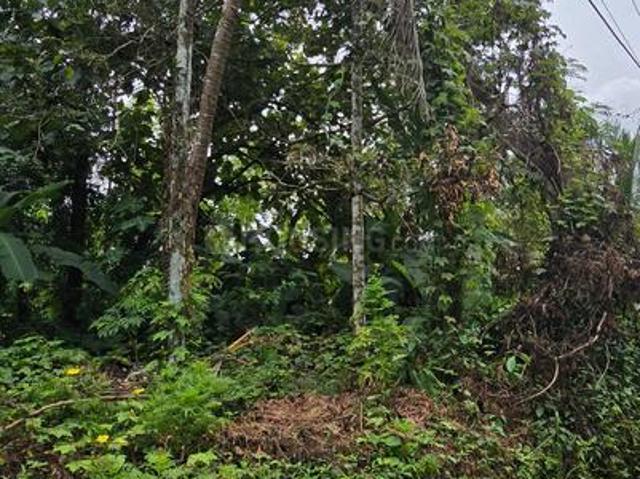 Residential Plot in Government Medical College Campus for resale Kozhikode. The reference number is 21175650