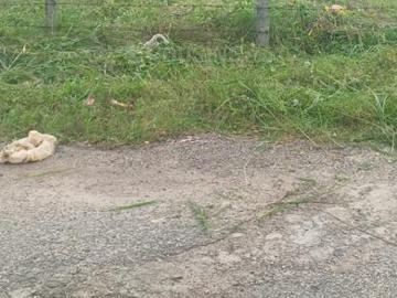 Residential Plot in Hullahalli for resale Bengaluru. The reference number is 19805662