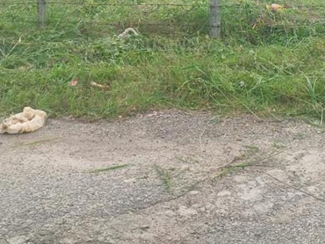 Residential Plot in Hullahalli for resale Bengaluru. The reference number is 19805662