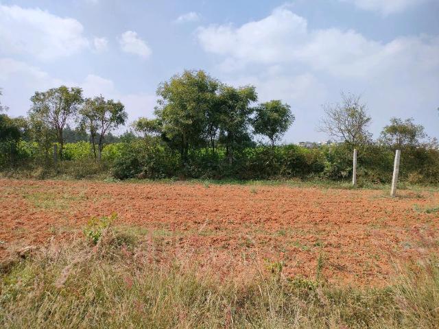 Residential Plot in Halasahalli for resale Bengaluru. The reference number is 16267711