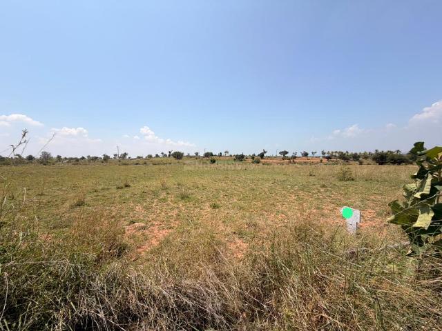 Residential Plot in Hampapura for resale Mysore. The reference number is 21324910