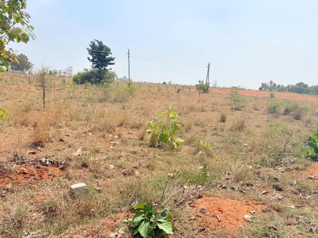 Residential Plot in Hanchya for resale Mysore. The reference number is 21306951