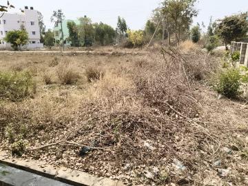 Nisarga Layout, Bukkasagara Bangalore, Bangalore District, Tamil Nadu