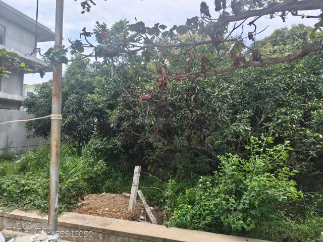 Residential Plot in Harapanahalli for resale Bengaluru. The reference number is 21048282