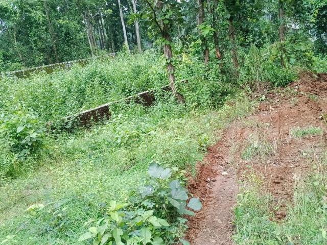 Residential Plot in Hardag for resale Ranchi. The reference number is 20910305