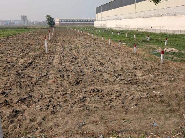 Residential Plot in Hardas Bigha for resale Patna. The reference number is 20370694