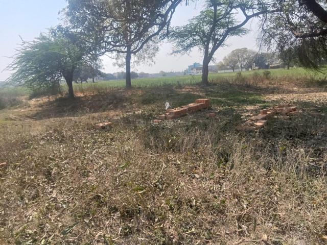 Residential Plot in Harhua for resale Varanasi. The reference number is 20033469