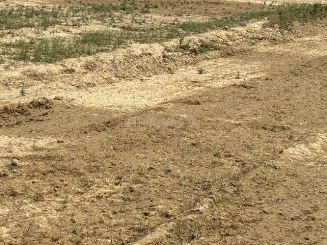 Residential Plot in Harhua for resale Varanasi. The reference number is 20471577
