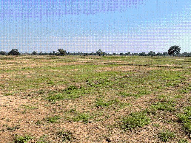 Residential Plot in Harinagar for resale Sohna. The reference number is 21272412