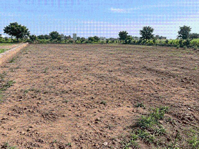 Residential Plot in Harinagar for resale Sohna. The reference number is 21393188