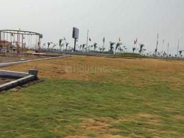 Raigad District, Maharashtra - Garden