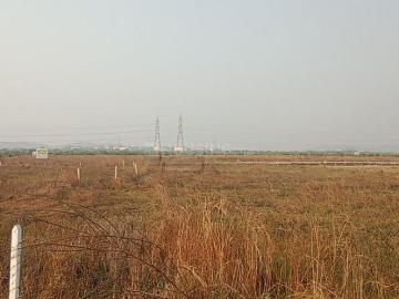 Raigad District, Maharashtra - Garden