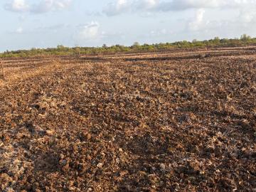 Residential Plot in Harishchandra Pimpale for resale Navi Mumbai. The reference number is 20567908