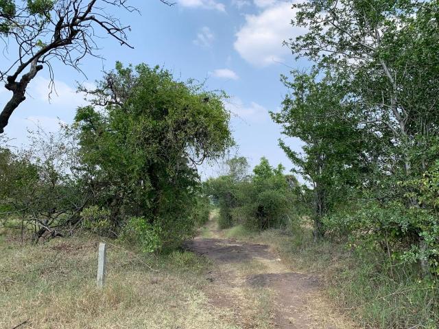 Residential Plot in Harishchandri for resale Pune. The reference number is 21344180
