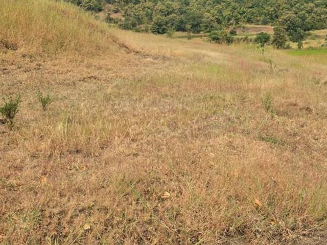 Residential Plot in Harishchandri for resale Pune. The reference number is 21367846