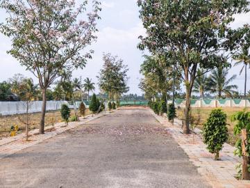 Residential Plot in Hebbal Kempapura for resale Bengaluru. The reference number is 20207101
