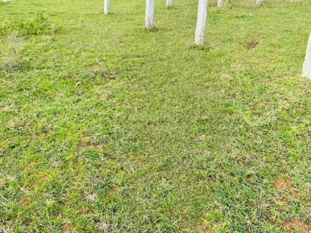 Residential Plot in Hesaraghatta for resale Bengaluru. The reference number is 21261657