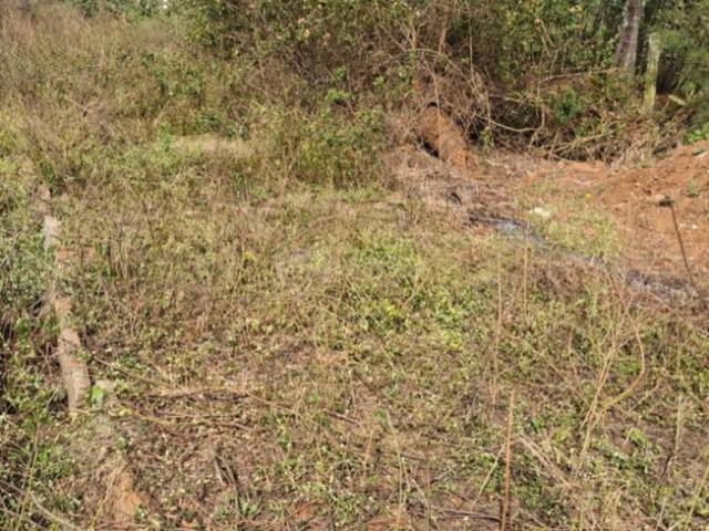 Residential Plot in Hesargatta for resale Bengaluru. The reference number is 19791393