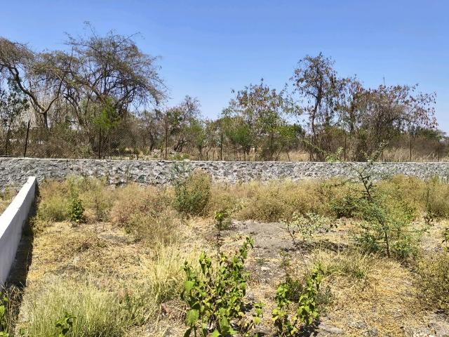 Residential Plot in Hinjawadi Phase 2 for resale Pune. The reference number is 10969815