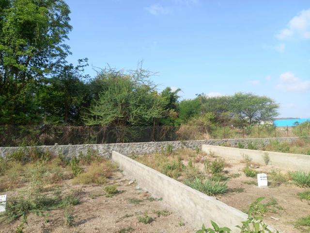Residential Plot in Hinjawadi Phase 2 for resale Pune. The reference number is 20481742