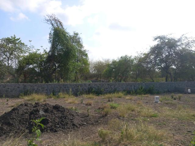 Residential Plot in Hinjawadi Phase 2 for resale Pune. The reference number is 20481889