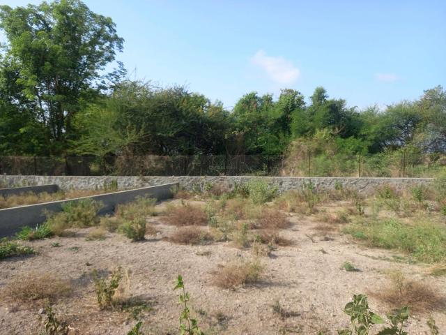 Residential Plot in Hinjawadi Phase 2 for resale Pune. The reference number is 20481819