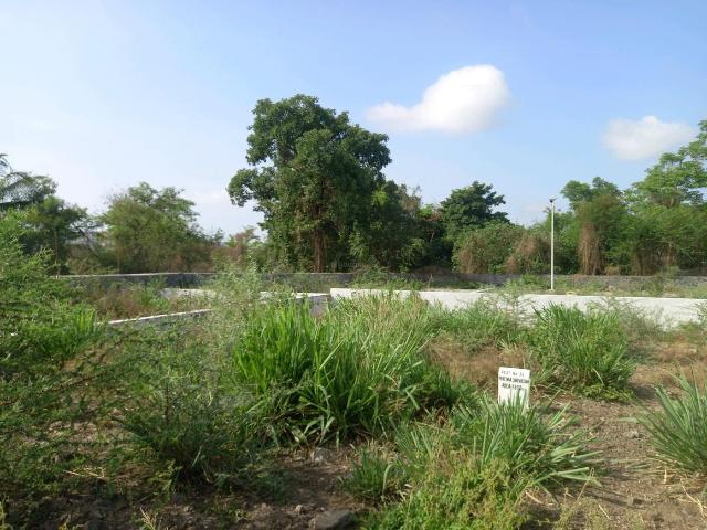Residential Plot in Hinjawadi Phase 2 for resale Pune. The reference number is 20481989