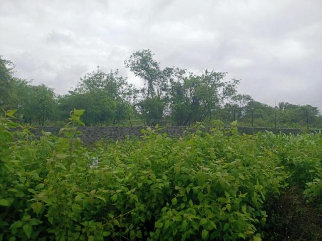 Residential Plot in Hinjawadi Phase 2 for resale Pune. The reference number is 20641884