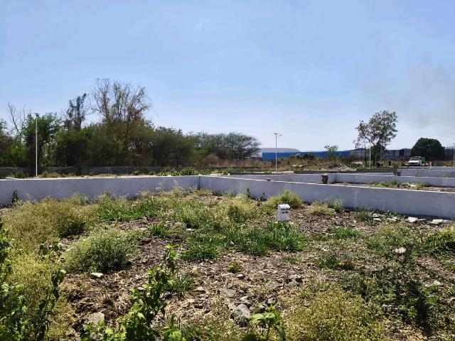 Residential Plot in Hinjawadi Phase 3 for resale Pune. The reference number is 16814787
