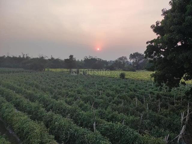 Residential Plot in Hirapur Colony for resale Raipur. The reference number is 20747282