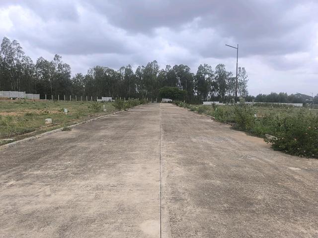 Residential Plot in Hoskote for resale Bengaluru. The reference number is 20663587