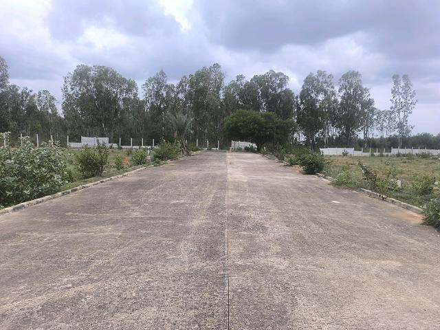 Residential Plot in Hoskote for resale Bengaluru. The reference number is 20663599